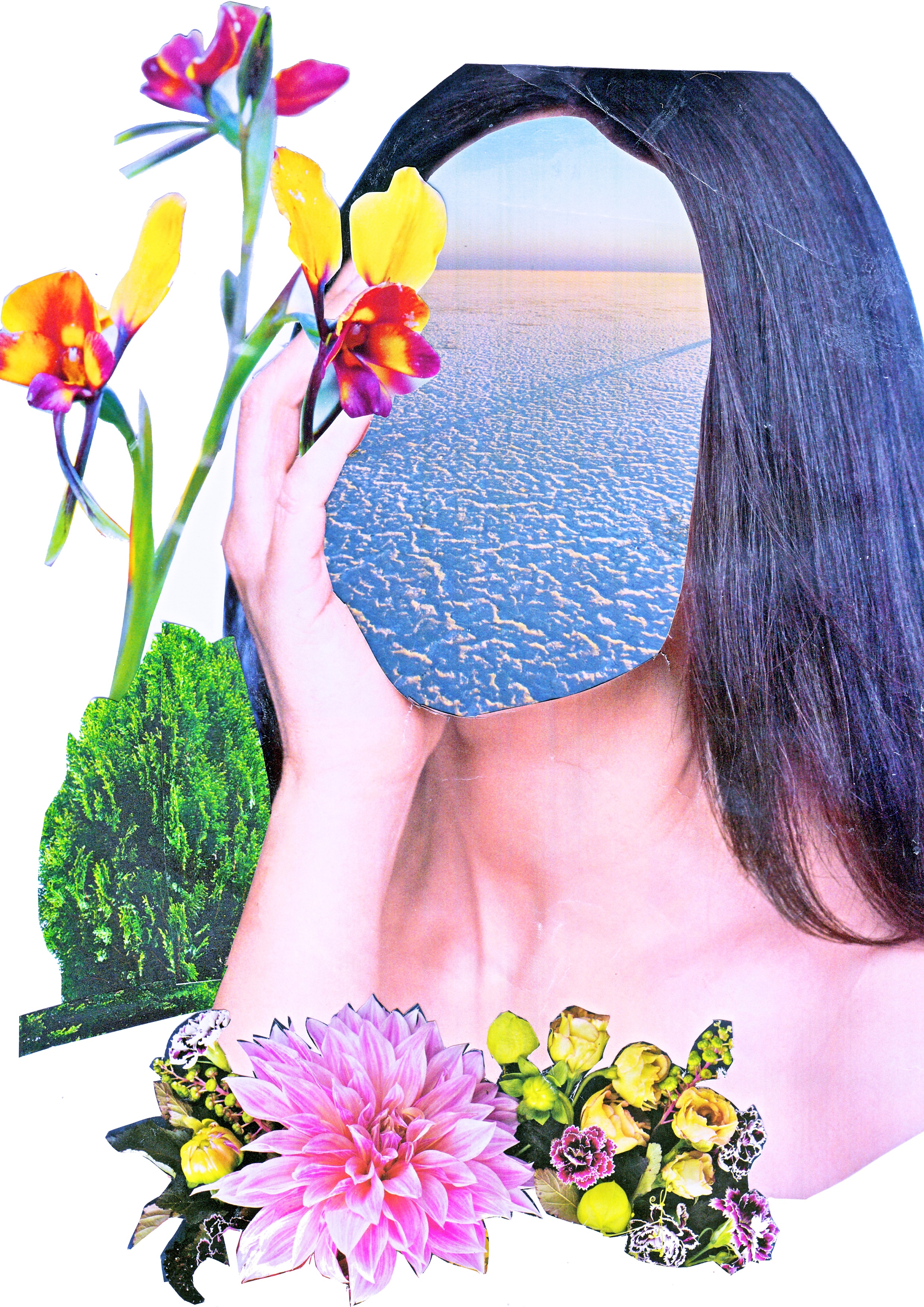 Collage 2