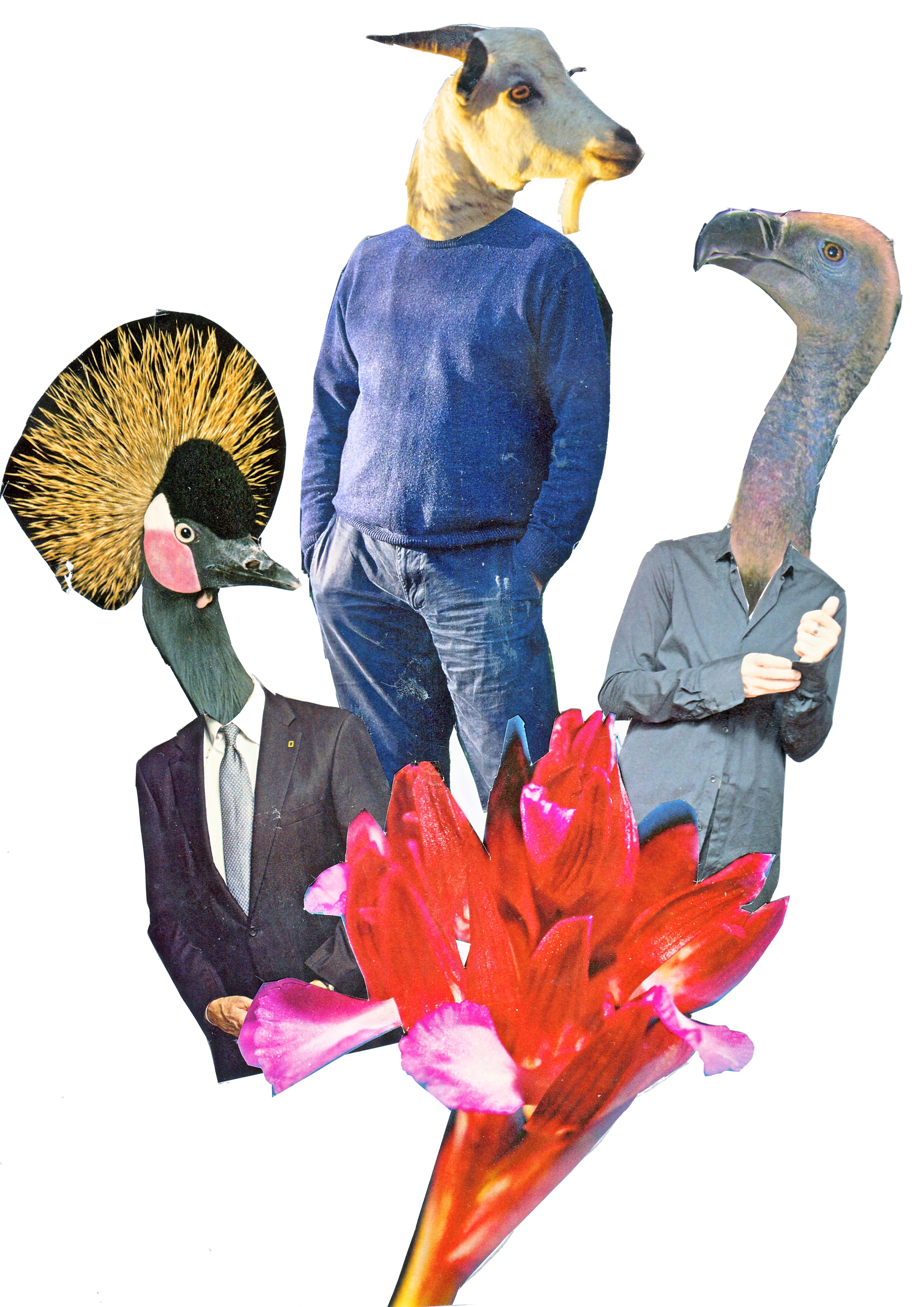 Collage 4