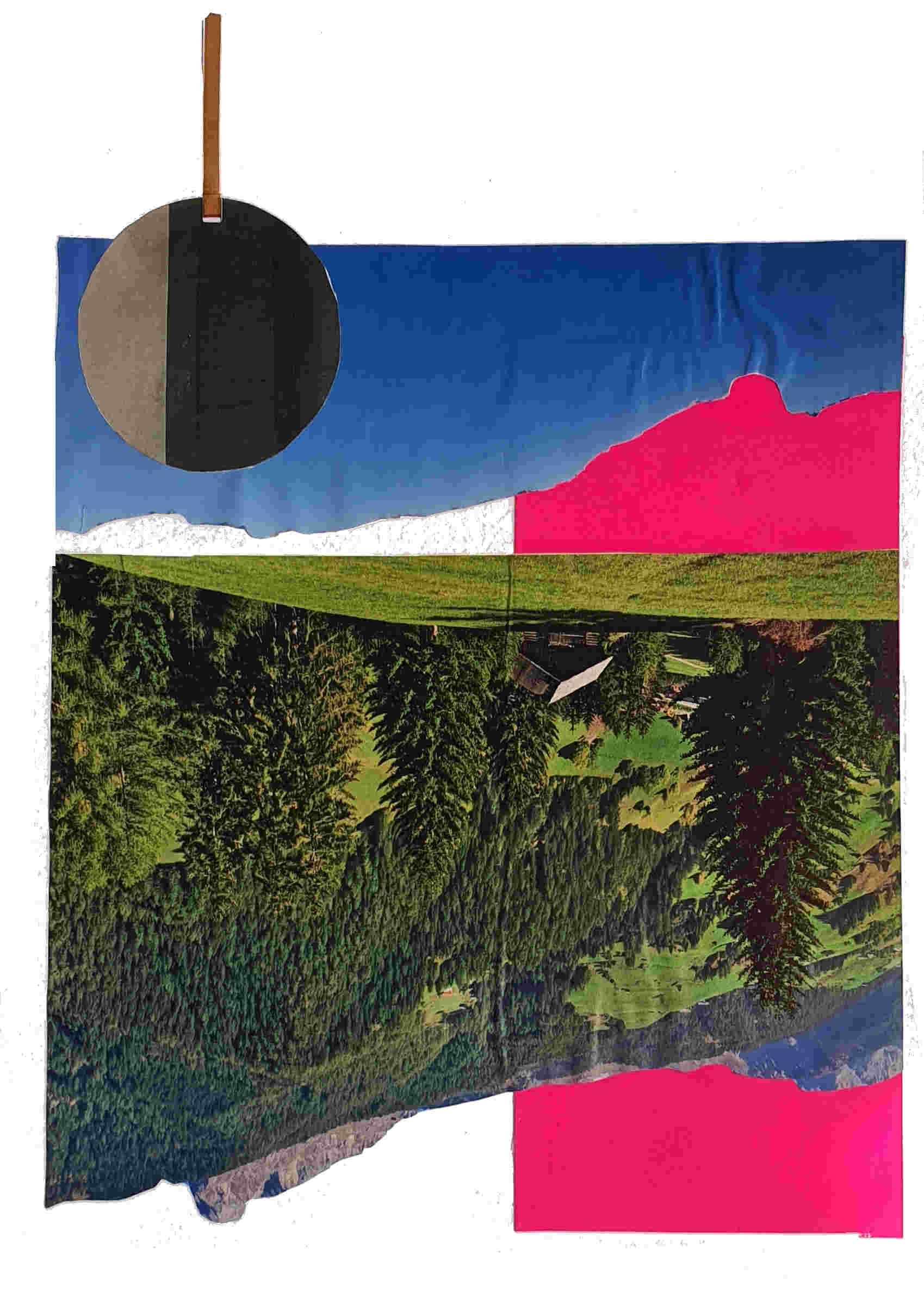Collage 8